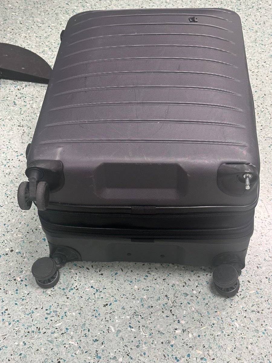 Laura Loomer tweet media