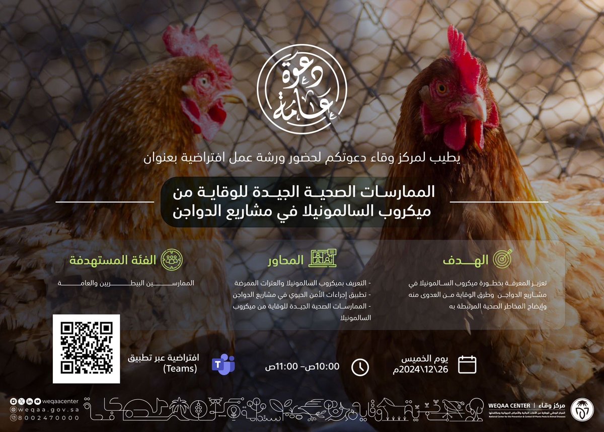 WeqaaCenter's tweet photo. #ورش_وقاء | يسر مركز #وقاء دعوتكم لحضور ورشة عمل افتراضية بعنوان "الممارسات الصحية الجيدة للوقاية من ميكروب السالمونيلا في مشاريع الدواجن" نحو تعزيز استدامة مشاريع #الدواجن https://t.co/fkYbBE46yQ