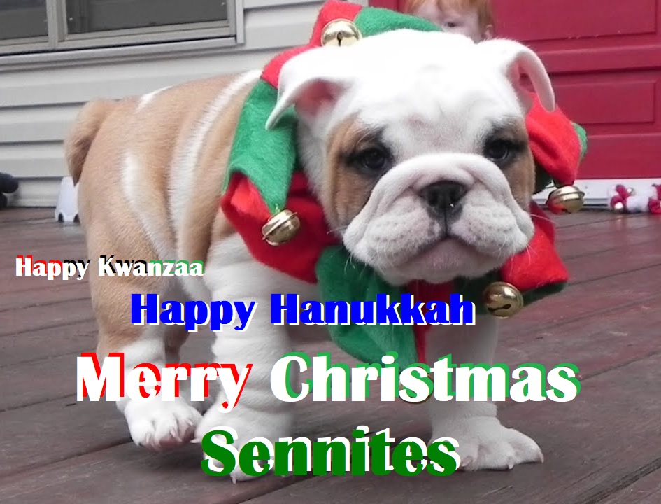 SennAlumni's tweet photo. Wishing all #Sennites #HappyHolidays #HappyHanukkah #HappyKwanzaa #HappyAthiest #MerryChristmas. Whichever you celebrate, have a #happydayoff❤️ #Bulldogs4Life #SennFriendsForever #SennStrong
#WeAreTheMightyMightyBulldogs #SennPride #StreightOutOfSenn #SennIsFamily 💚🤍💚🤍 https://t.co/FaCmpXQpHM