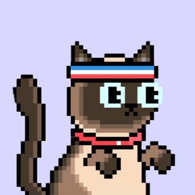 #NewProfilePic $MERV #Merverts