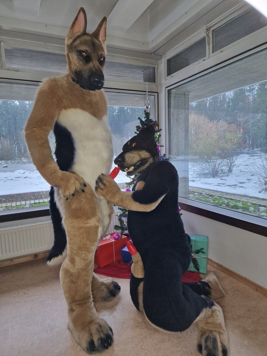 Loki had a special wish for xmas that I wanted to fulfill.

Merry Yiffmas all you puppers