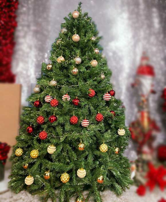 सभी दोस्तों को हैप्पी  #MerryChristmas       
🌹🌹
#Christmas     #zelena #Drishyam3