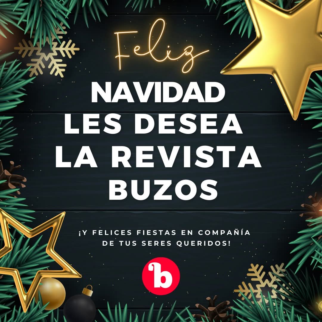 BuzosNoticias's tweet photo. 🎄✨ ¡Feliz Navidad de parte de la Revista Buzos de la Noticia! ✨🎄  

En estas fechas especiales, queremos agradecer a nuestros seguidores por acompañarnos a lo largo de este año, confiando en nosotros como su fuente de información.

Que esta Navidad llene sus hogares de paz, alegría y momentos inolvidables junto a sus seres queridos. Y que el próximo año esté lleno de nuevas oportunidades, esperanza y prosperidad para todos.  

Seguiremos trabajando con el compromiso de informar, conectar y estar siempre cerca de ustedes.  

🎁 ¡Felices fiestas y un próspero Año Nuevo! 🎁