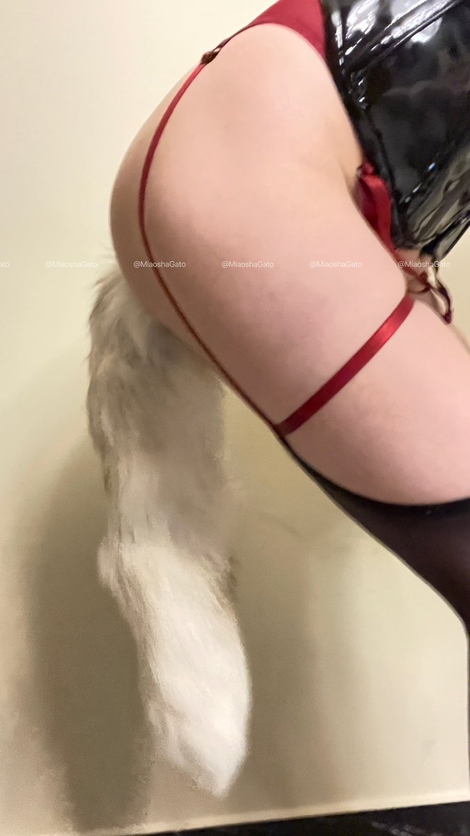 福利姬猫鲨Gato分享的黄推图片3 - 网红私拍内容