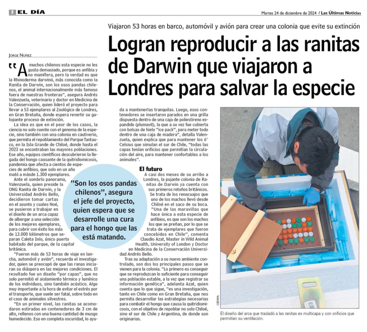 🐸✈️ Cobertura LUN sobre el rescate de ranitas de Darwin desde Chiloé a Londres. La larga lucha contra la extinción  

lun.com/Pages/NewsDeta…