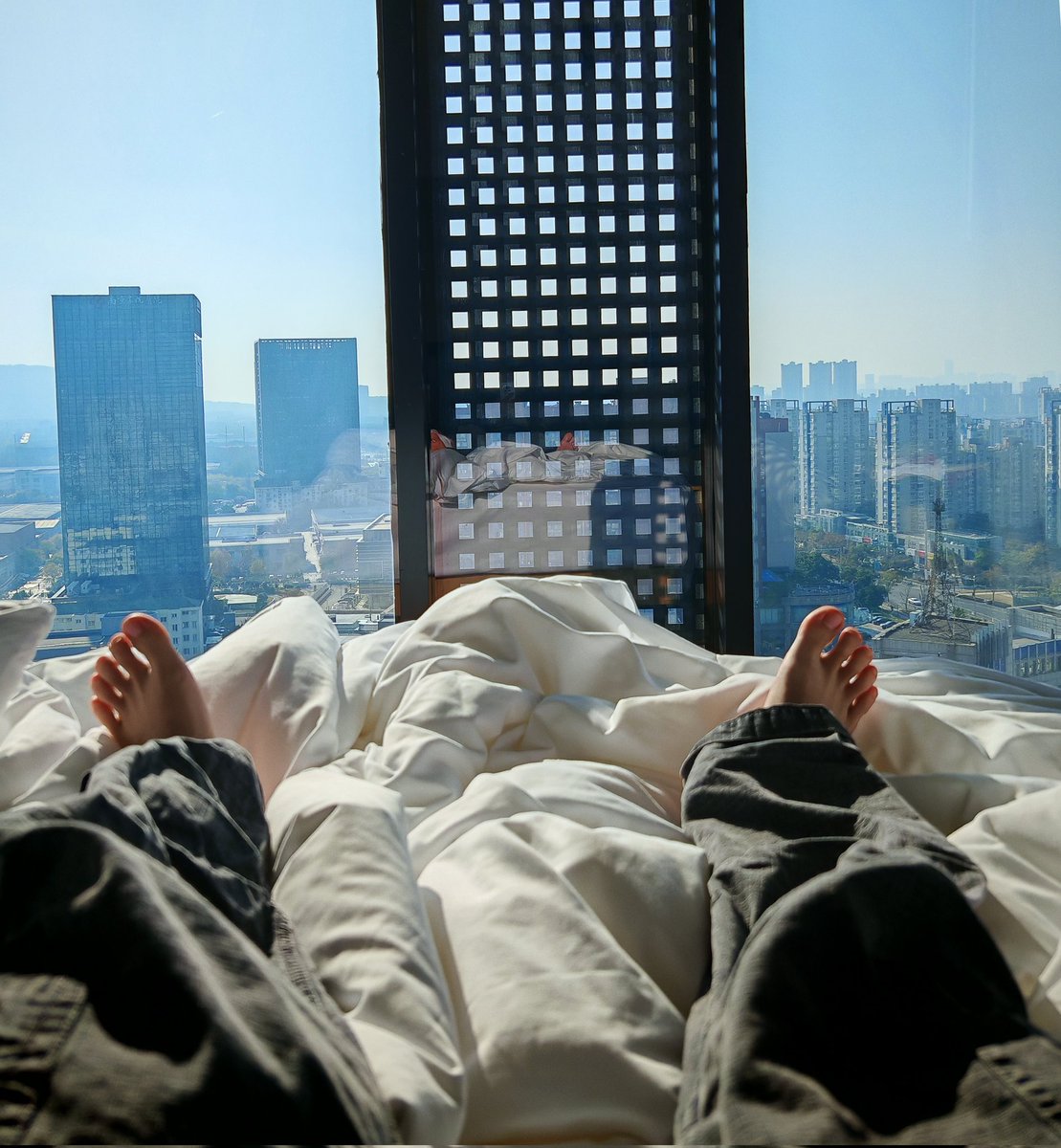 终于找回了推特密码（不是）