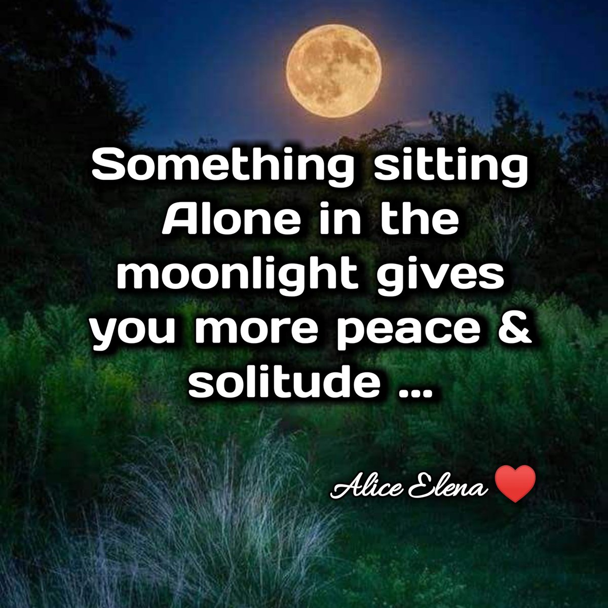 Sit Alone and Sit with Dignity 🙂