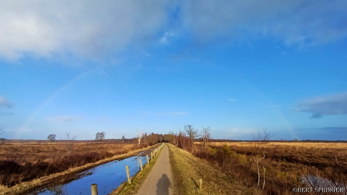 Springerweb's tweet photo. Op de Gazelle door het @fochteloerveen . https://t.co/QPvRWcRQSU