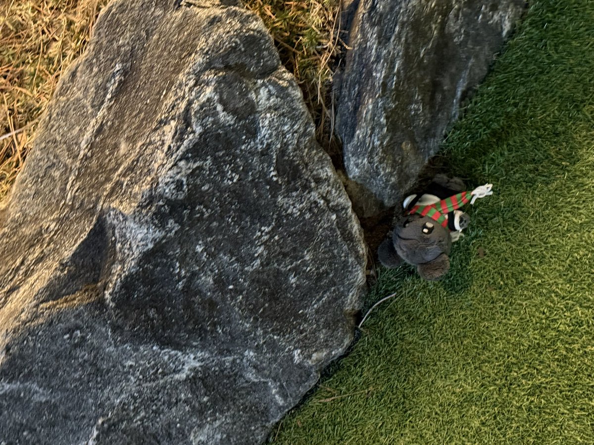 사진 찍기 싫어서 도망간 밐히
잃어버린줄 알았ㅎㅕ🥹🥹