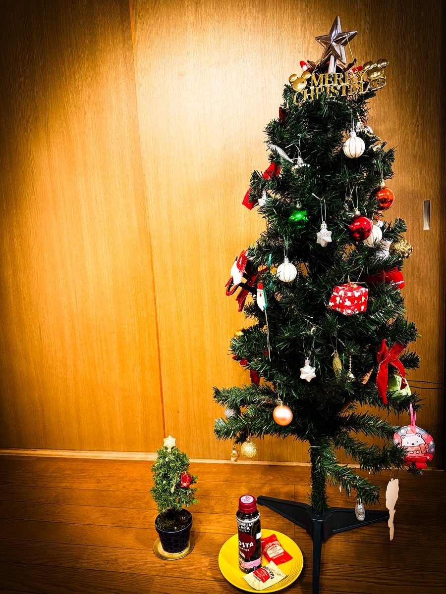 koni_bon's tweet photo. クリスマスツリーby 杜松さん。
メリークリスマス!
Christmas tree by Tosho pine bonsai
Merry Christmas!!
#盆栽 #盆栽好きと繋がりたい #盆栽のある暮らし #盆栽初心者 #杜松 #bonsai #minibonsai #bonsailife #japan #tosho https://t.co/ePYsBMrEl2