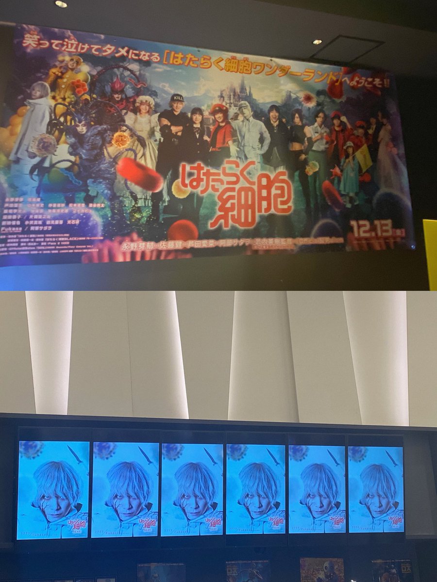 rim_snomga's tweet photo. 名古屋に来てくれたえんだー友達とはたらく細胞見に行ってきた🎥
感動すぎて1年分ぐらい大泣きした😭
深瀬くんもみーんなとっても素敵でした！！
そしてはたらく細胞のフォトスポットが良すぎた〜
Blu-ray出たら絶対買います😌
 #はたらく細胞 
 #はたらく細胞でドーパミン超全開 https://t.co/olMKYuzMkj