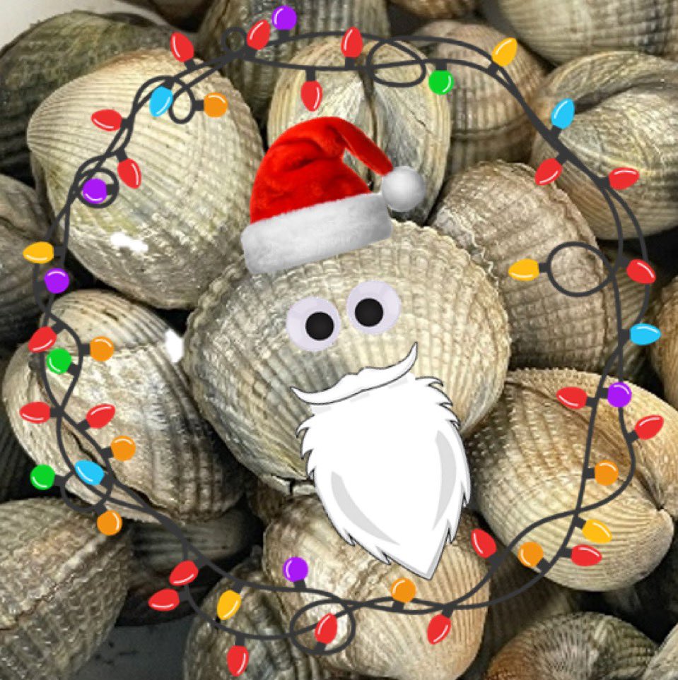 Our Santa Cockle 🎅🏼 is back! One year after launching the project, we couldn’t be more thrilled with what we’ve accomplished. Here’s to even greater things in #2025! 

#MerryChristmas from the #UNTIE team, and happy holidays to all 🎊✨🎄🎁🍾