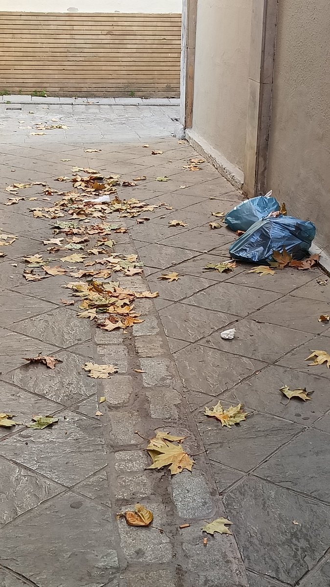 ChrisVendrell's tweet photo. Buenas tardes @LipasamSevilla , ese par de bolsas llevan 3 días ahí tiradas en Calle Ceres (Plaza de La Gavidia) y tienen pinta de que si se mira un poco hay papeles con la dirección de quien las dejo ahí tiradas.
Por cierto, Feliz Navidad. https://t.co/na8tOHlCmq