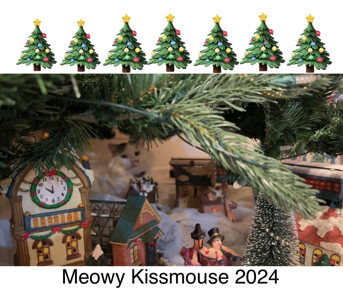 #Christmas2024 Meowy Kissmouse 2024 from Buzz &amp; Fluffster!
  <a href="/DinahLewisTayl1/">Dyna-isms</a> #CatsOfTwitter #Caturday #meow #purr #ittybittybuzz #adoptdontshop #lapcat #whiskerswednesday #kittens #catnap #buzz #KittenLove #christmastree #cattree #catnap #ChristmasEve
