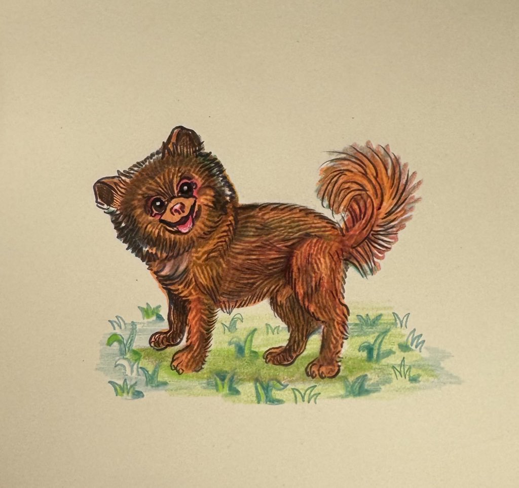 kathygrayson's tweet image. Included in the tube for #PaperView2 were two amazing little Bertie drawings by #MattFurie ❤️ his happy “huh?” and then the dragon face one he perfectly nailed Bert’s “jazzed” face, when he wanted the ball or the pool or was all fired up about something @BertieBertDaPom