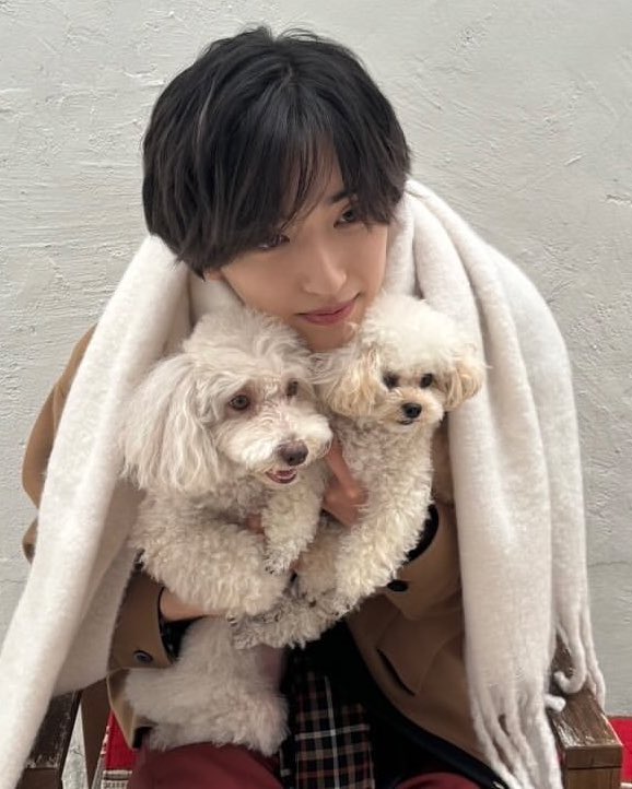 koioaru's tweet photo. 미친거야............ https://t.co/2v7CbKrgjK
