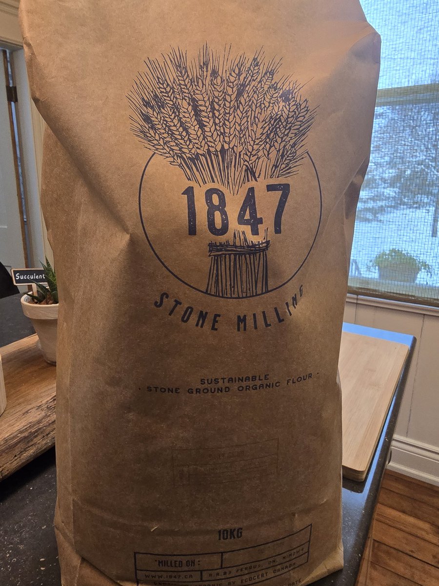 ✨️AreOhEssEyeEe✨️ tweet media