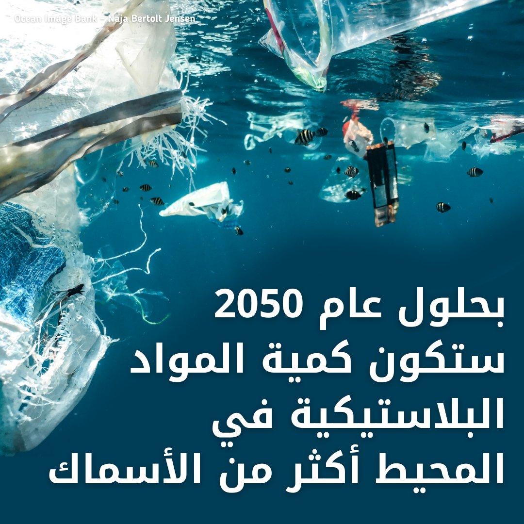 UNarabic's tweet photo. 🐟 تتغذى الأسماك على المواد البلاستيكية ونحن نأكل هذه الأسماك 🐠

ما لم نتحرك، فستحتوي محيطاتنا على كمية من البلاستيك تفوق عدد الأسماك بحلول عام 2050 https://t.co/EcKC0WbbIK