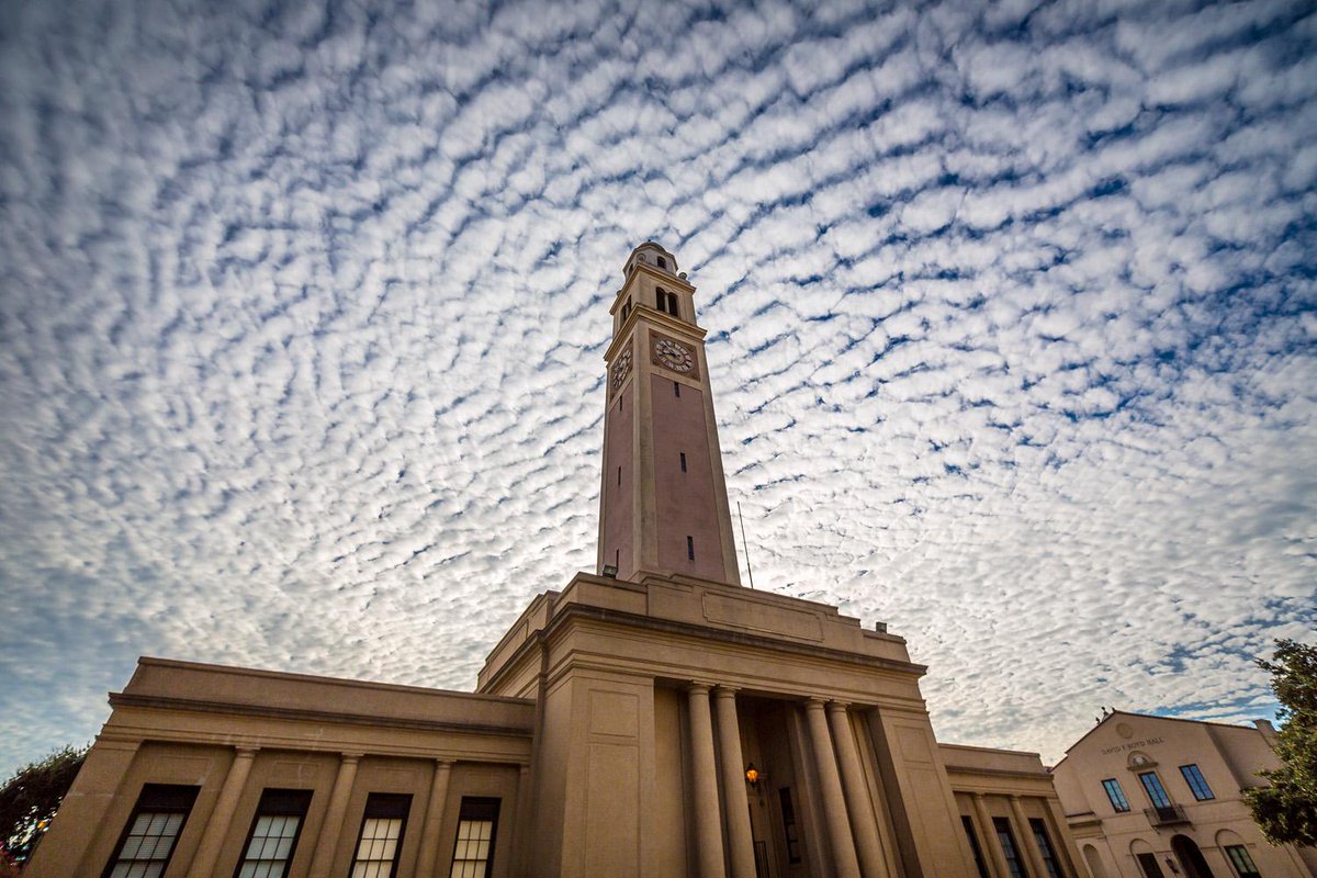 This year, LSU ranked at No. 56 among the top 100 universities granted U.S. utility patents. 

Every innovation brings opportunities for a better tomorrow 📝

🔗 lsu.edu/mediacenter/ne… 

#ScholarshipFirst #WBTTW