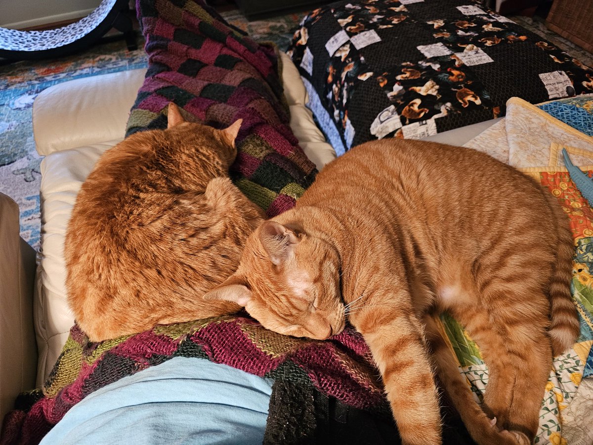 A pile o' orange.