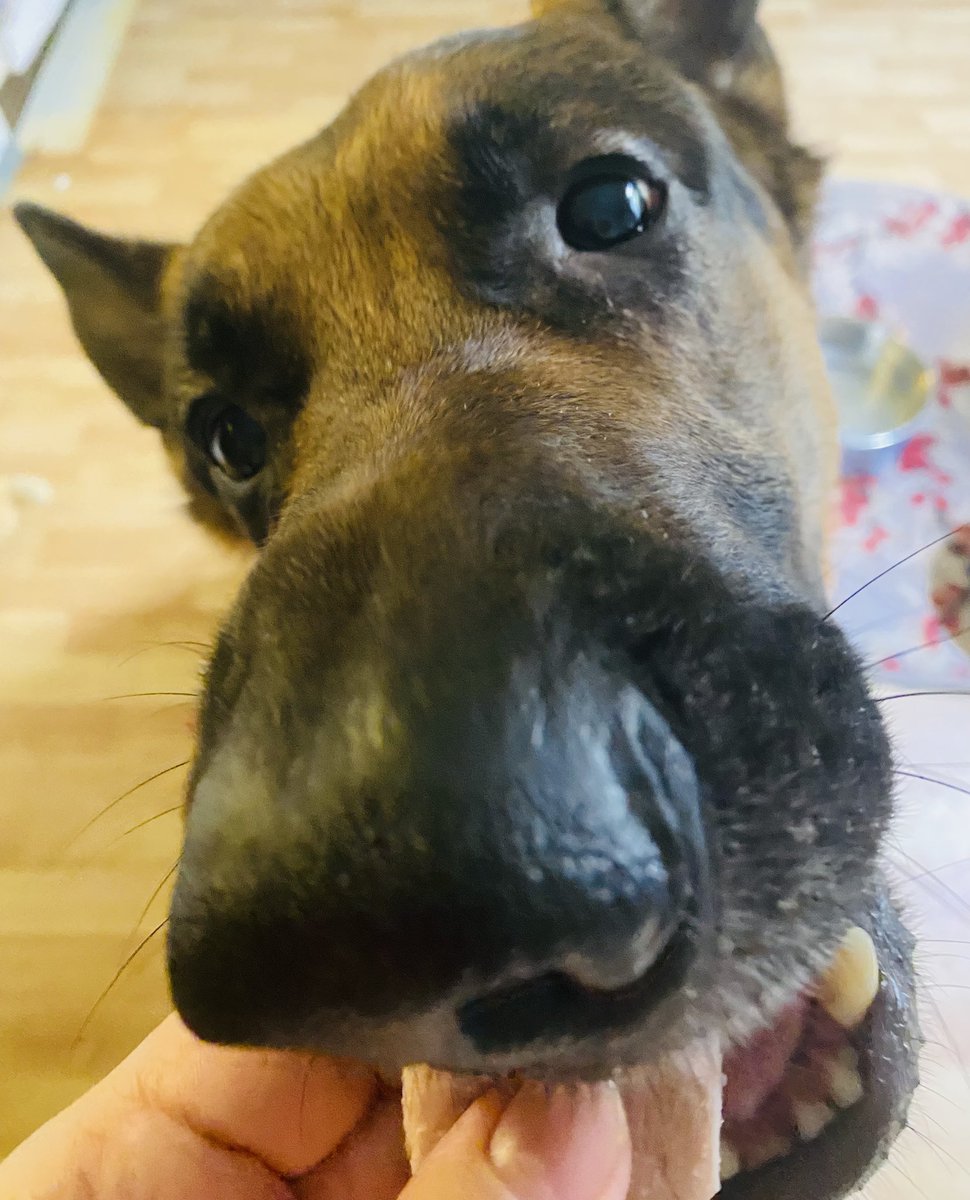 ⭐️Näihin kuviin, näihin tunnelmiin. 
Hyvää joulua! 🎅🎄