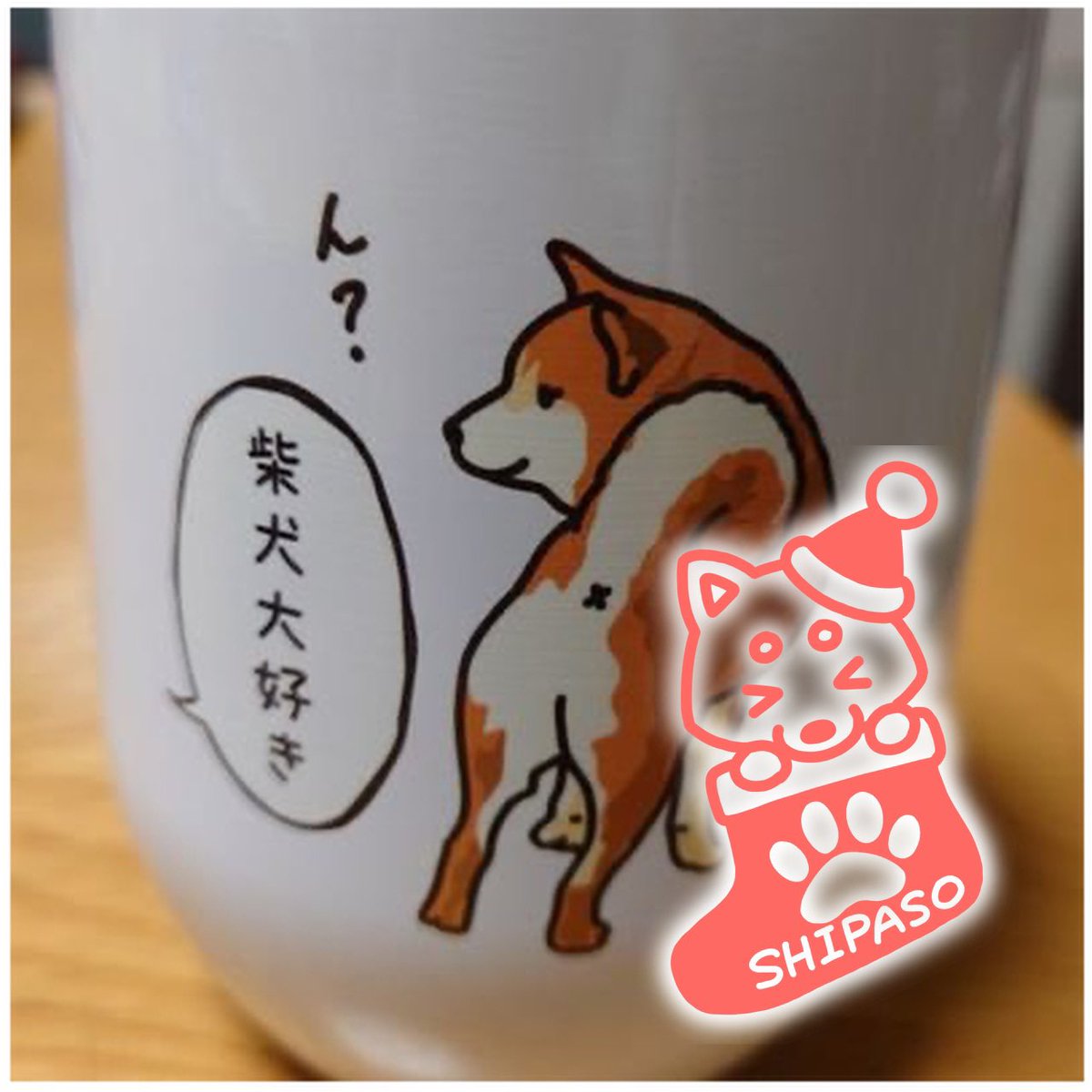 @pandash2022 メリークリスマス! 