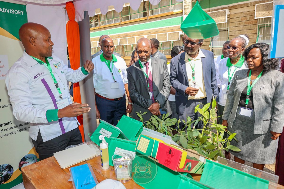 Merry Christmas  to you all
From The Muranga Avocado  Farmers Family.