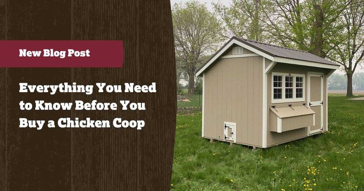 DakotaStorage's tweet image. Looking to buy a chicken coop that’s built to last without breaking the bank?

See our essential tips for choosing a coop that balances quality, durability, and budget.

👉 hubs.ly/Q02WT6l70

#coops #chickencoops #backyardchickens