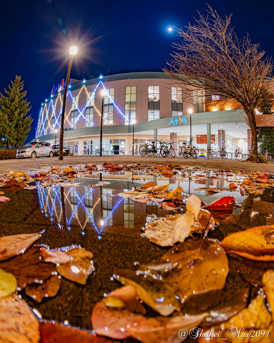 札幌・創成イーストエリアのクリスマスイルミネーション🎄

今年の秋から冬にかけて撮影した中でのお気に入りのショット📸

🦌🔔🎁メリークリスマス🎄🎅❄️

#創成イーストクリスマスイルミネーション