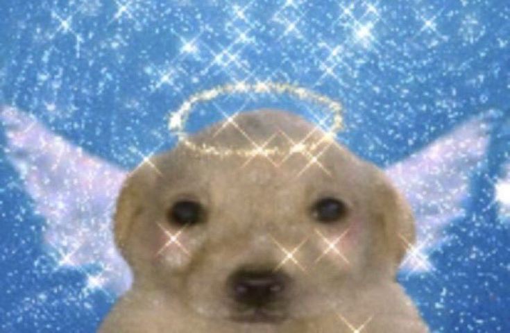 how it feels 2 call a full grown man with glass and handles my baby