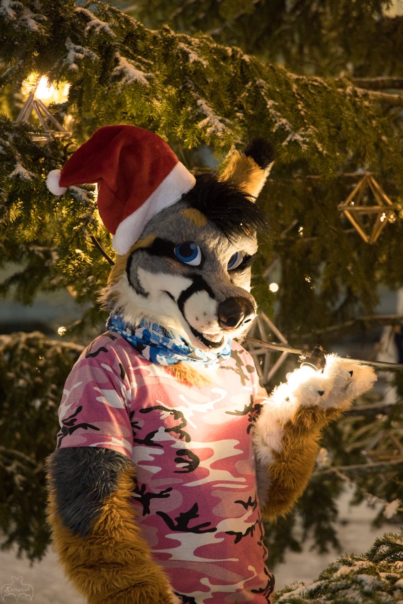 This fox wishes you all Merry Christmas / Happy Holidays !