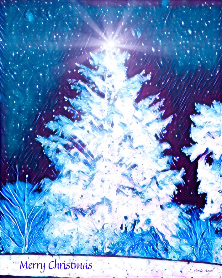 PatrisAngel's tweet photo. I wish you a Fantastic Christmas, whatever this celebration means to you!

May we come together in our diversity to share and open our hearts to the rising Light of the Solstice 🎄 https://t.co/IymRwRf4mC