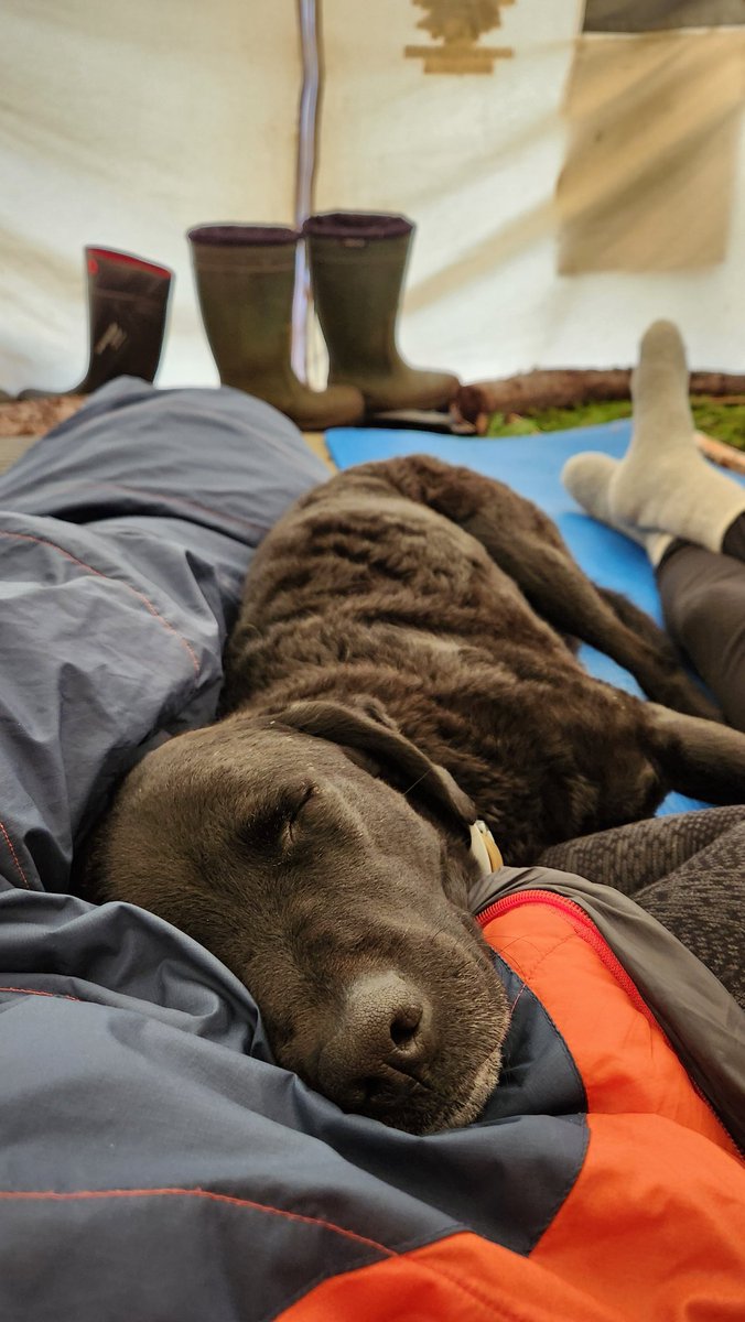 Justin Barbour tweet media