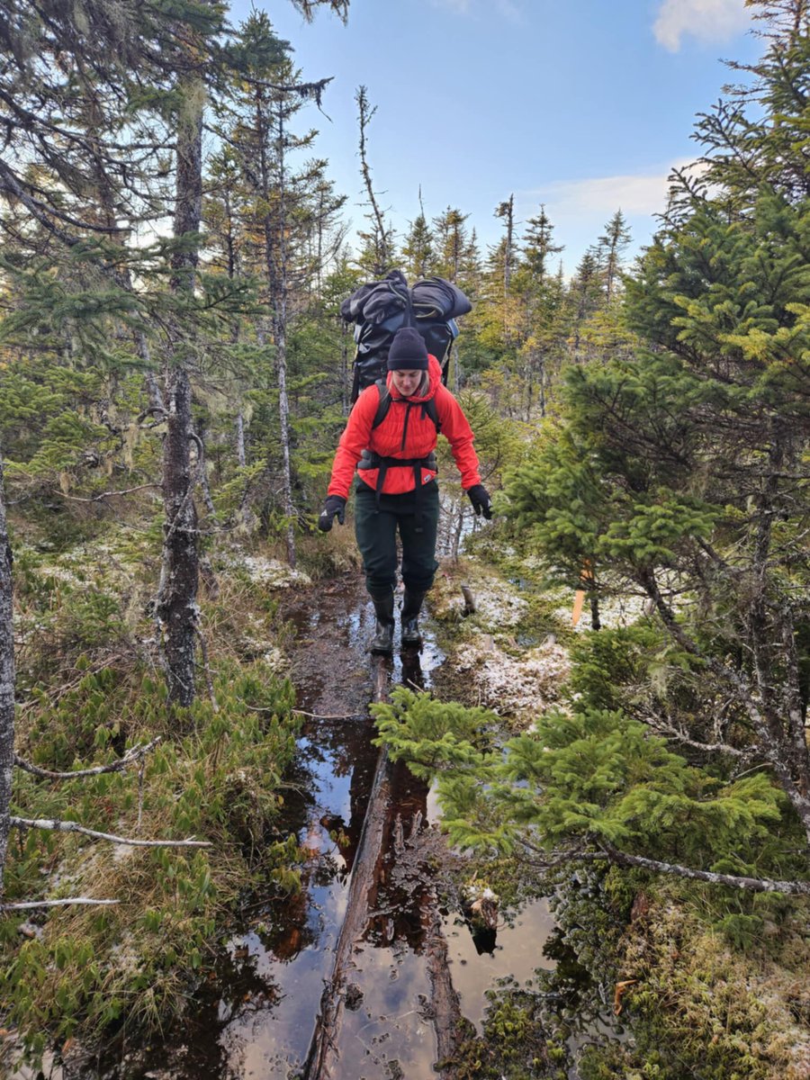 Justin Barbour tweet media