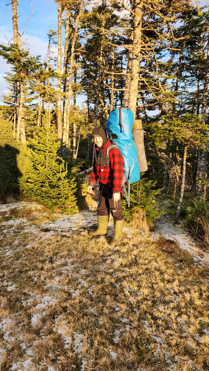 Justin Barbour tweet media