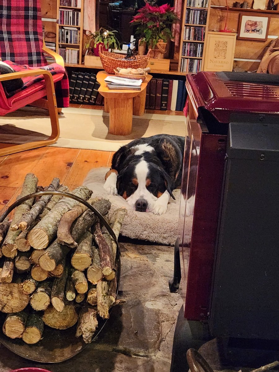 Mariana Wingood tweet media