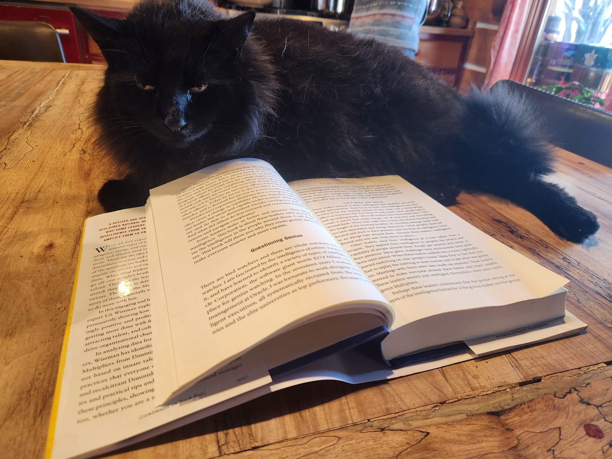 Mariana Wingood tweet media