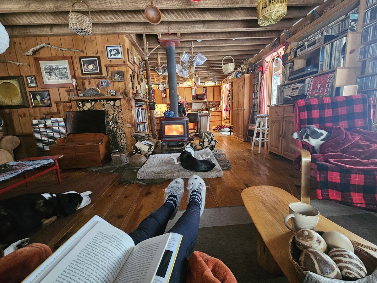 Mariana Wingood tweet media