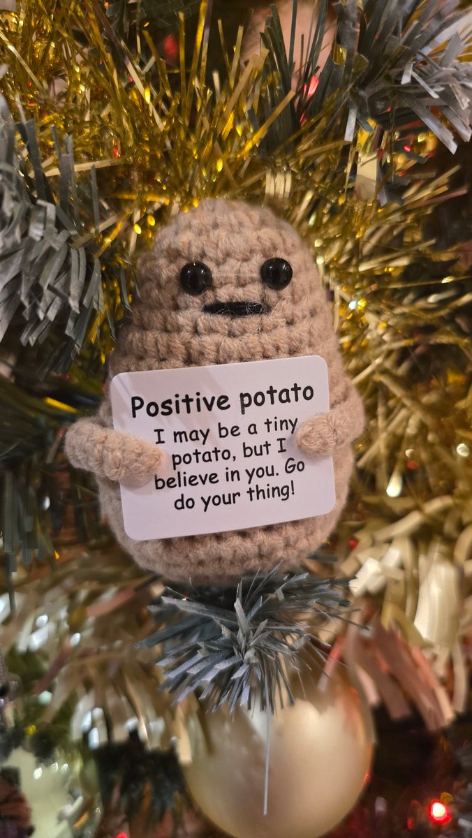 It's the 25th here!
When you reach it, I hope you all have a Merry Christmas and Happy Holidays! 😊🎅🎄

I got this little spud for Christmas 🥰