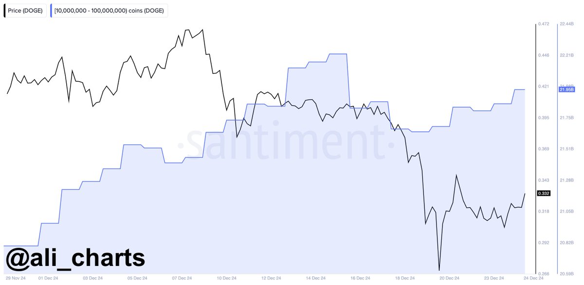 DOGE whale accumulation Dogecoin price