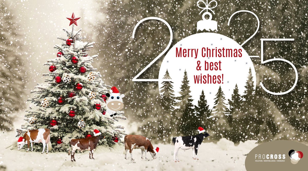 ProCROSS (@procrosscows) on Twitter photo 