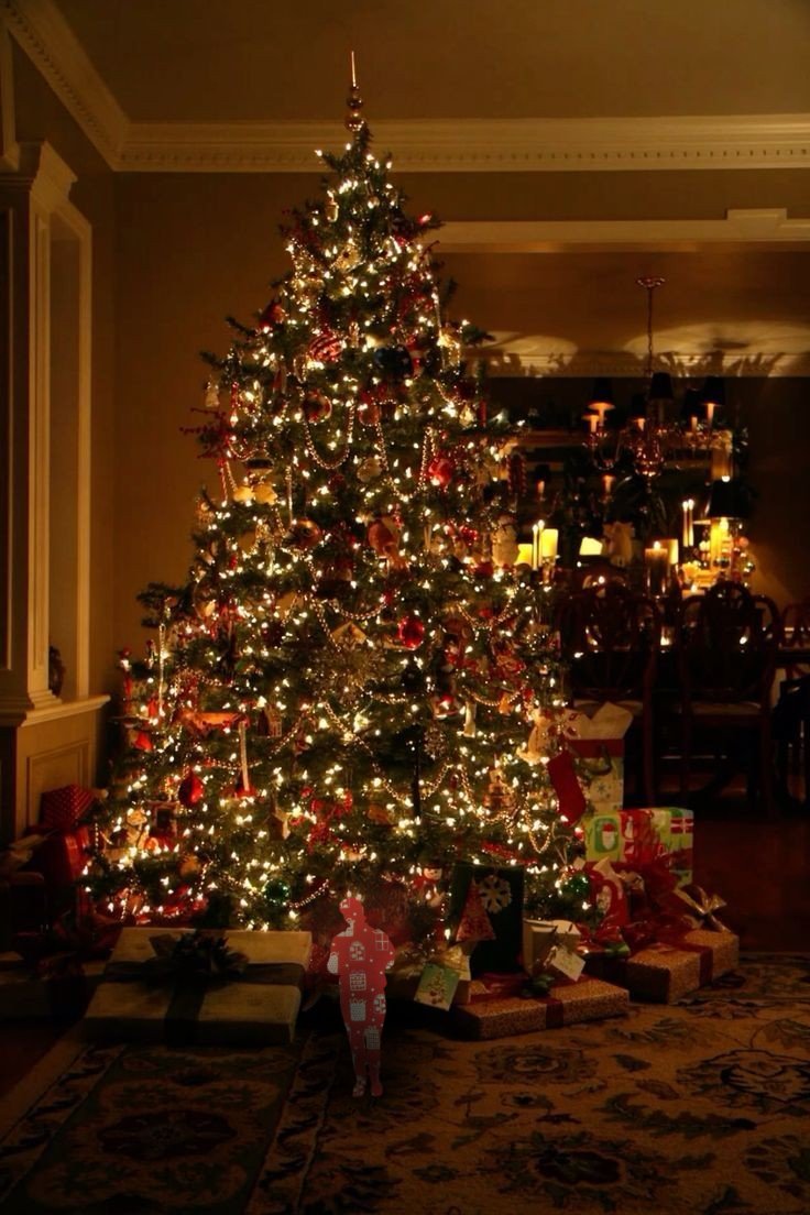 wheresjimtoday's tweet photo. Today James Marriott is under the Christmas tree! https://t.co/V2r81Ibjtu