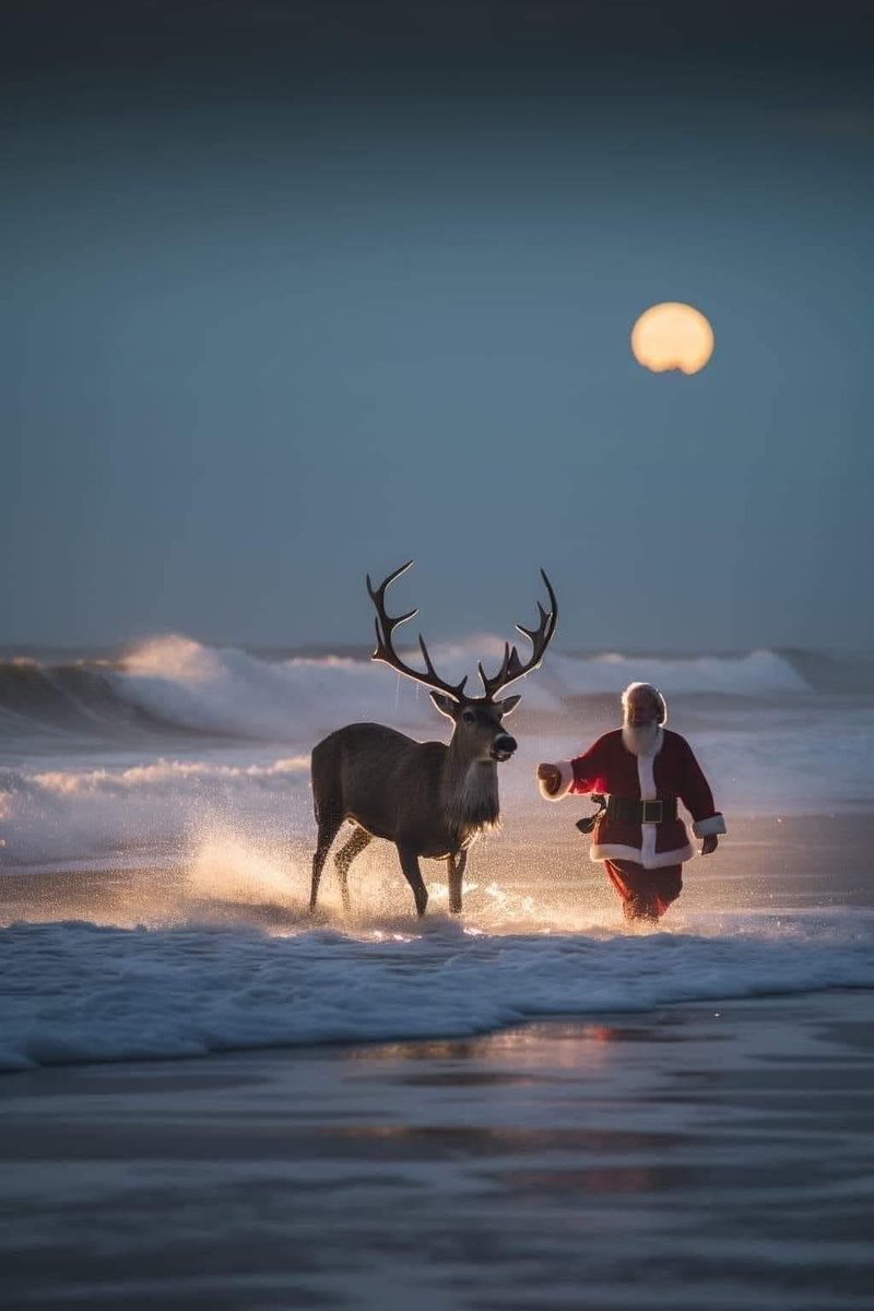 ana4dream's tweet photo. All your dreams come true : merry christmas ♥️ https://t.co/V3DSl7JyLp