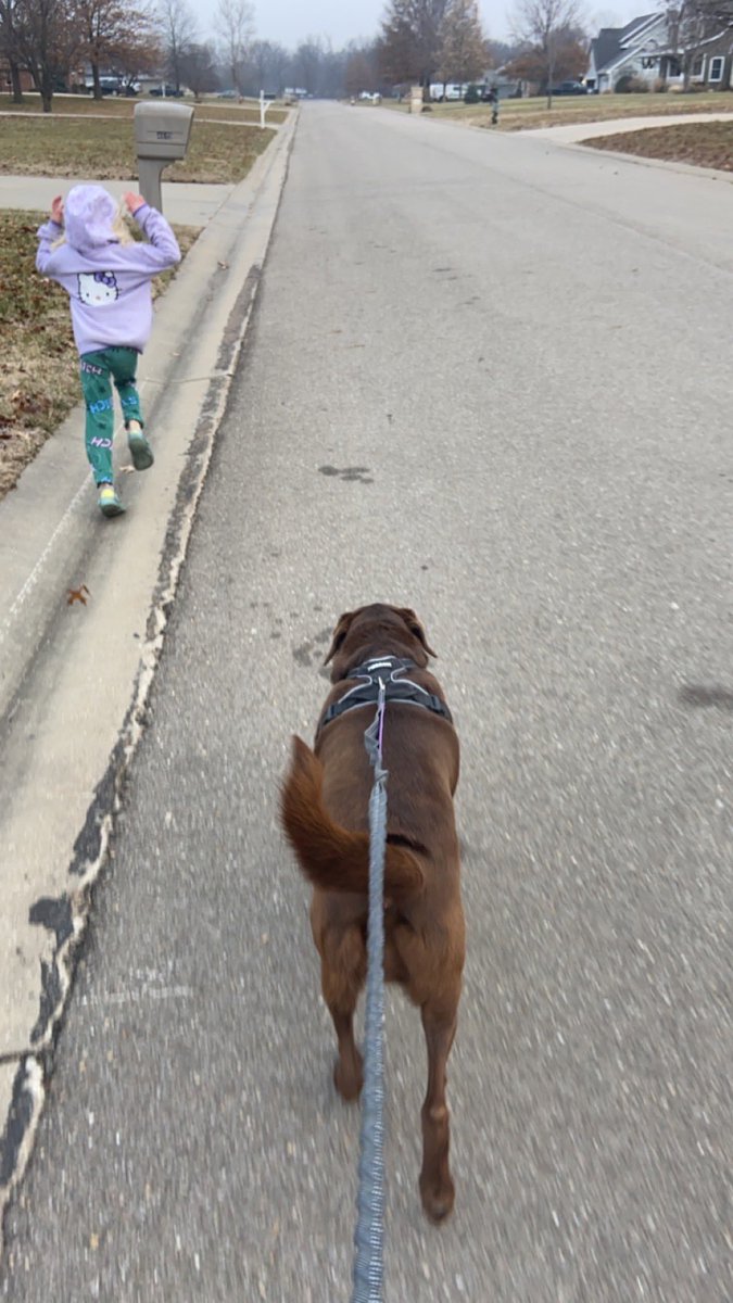 Amanda Rush tweet media