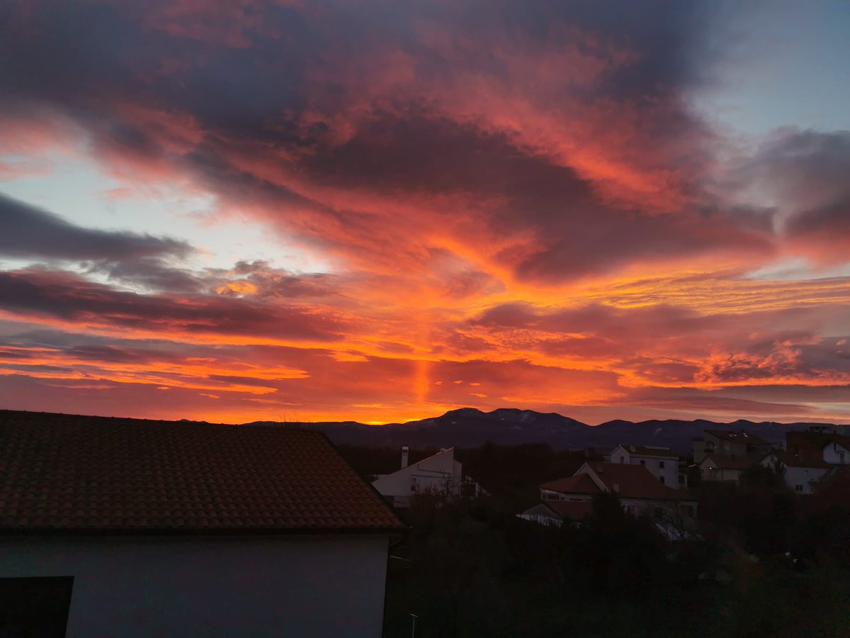 Jas Frank tweet media