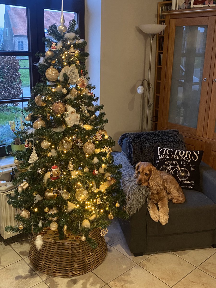 Hele fijne kerstdagen voor iedereen ❤️