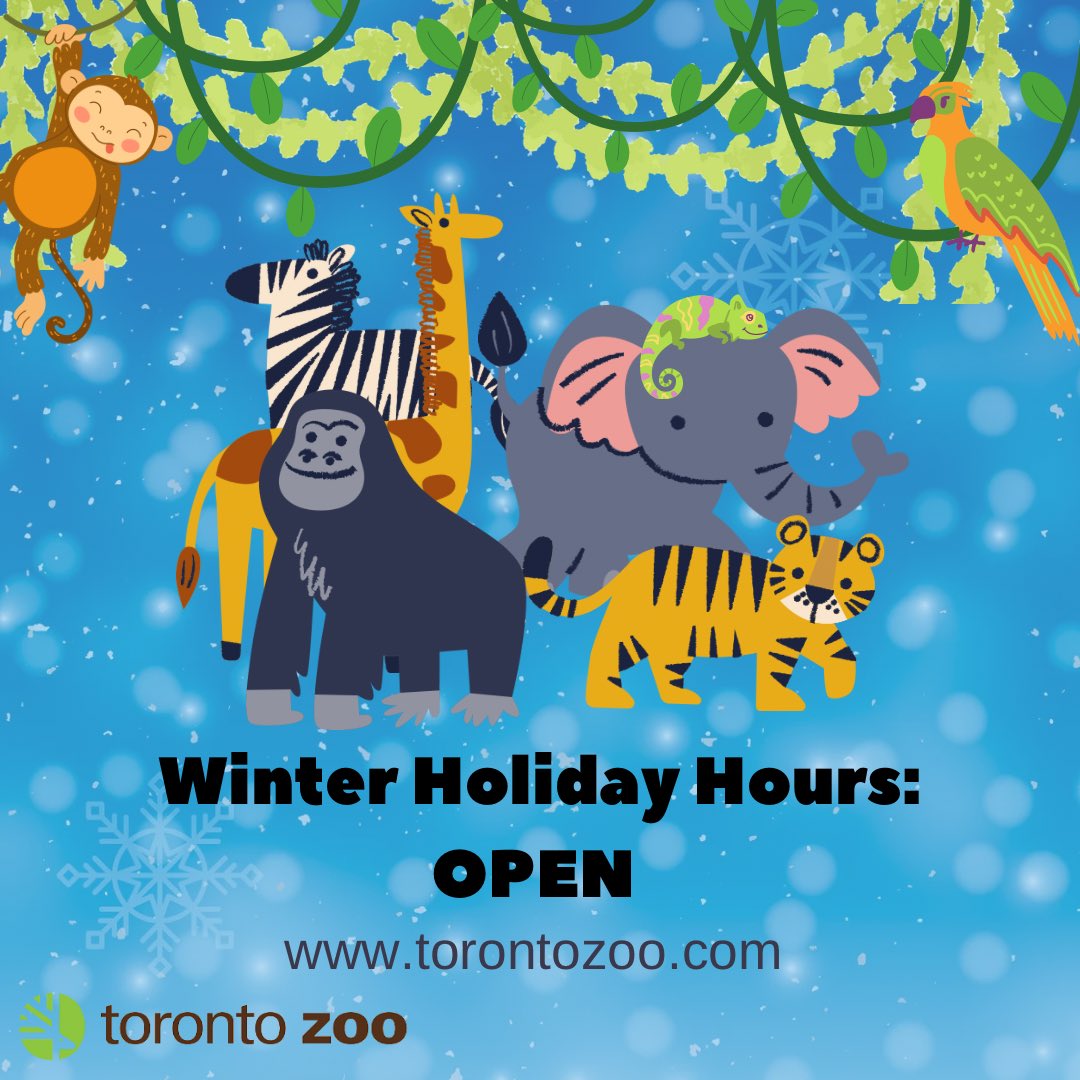 Ainslie_Ward24's tweet photo. @TheTorontoZoo is OPEN for the winter holidays! Visit their website for their hours of operation: https://t.co/e8rHHm6tgx
#winterholidays #WinterTO #TorontoZoo #Scarborough #ScarbTO #CityofTO #ThingsToDo https://t.co/hnED5ScpU5
