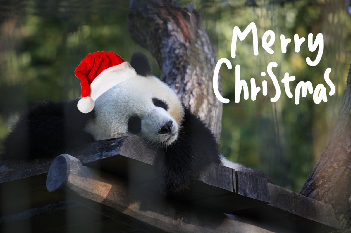 Ulrich Gelsen tweet media