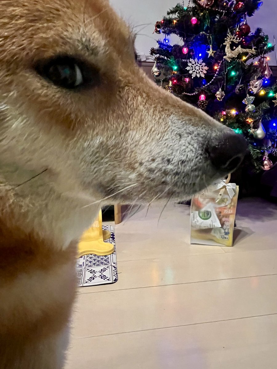 タロン tweet media