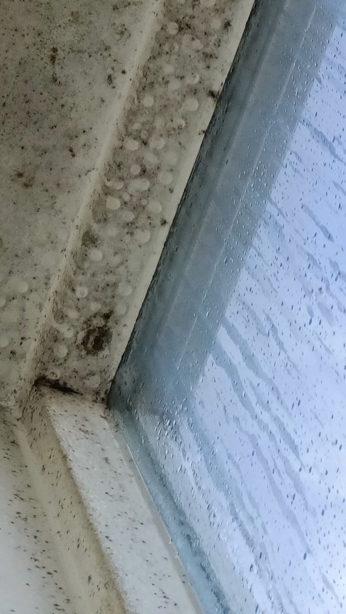 De wethouder vond het niet nodig, ondanks aandringen van de SP, toe te zeggen de vochtproblemen in het Singelkwartier regelmatig bij Volkshuisvesting aan de orde te stellen. Hij had 'genoeg vertrouwen in een goede afloop'.

Zie hier een nieuwe lekkage. Nota bene op kerstavond...